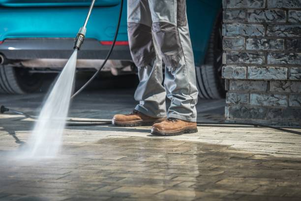 Best Driveway Pressure Washing  in Taylor Creek, OH
